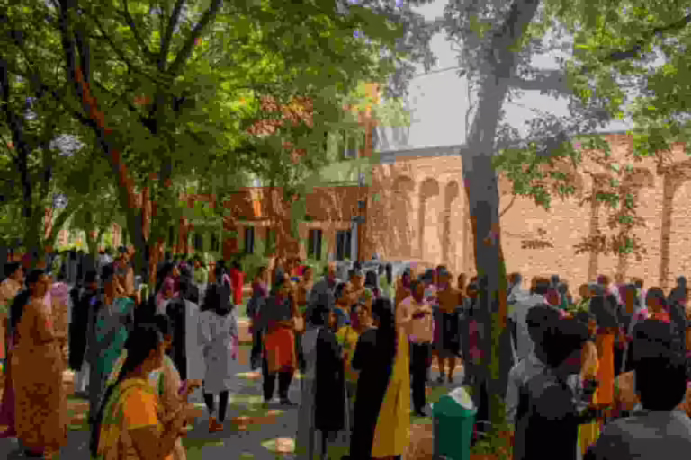 Jpeg Optimizer Img 9928 Copy